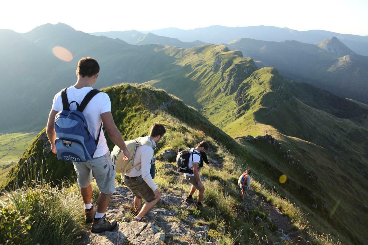 Апартаменты Meuble De Tourisme La Jaulipiere Joursac Экстерьер фото